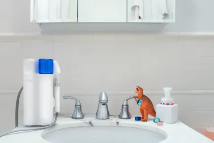 كازينو در سلوت تطبيق الهاتف المحمول